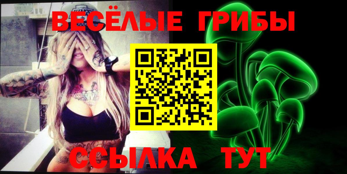купить наркотики сайты  Галлюциногенные грибы GOLDEN TEACHER  Камышин  Вход с VPN  Галлюциногенные грибы MAGIC MUSHROOMS 
