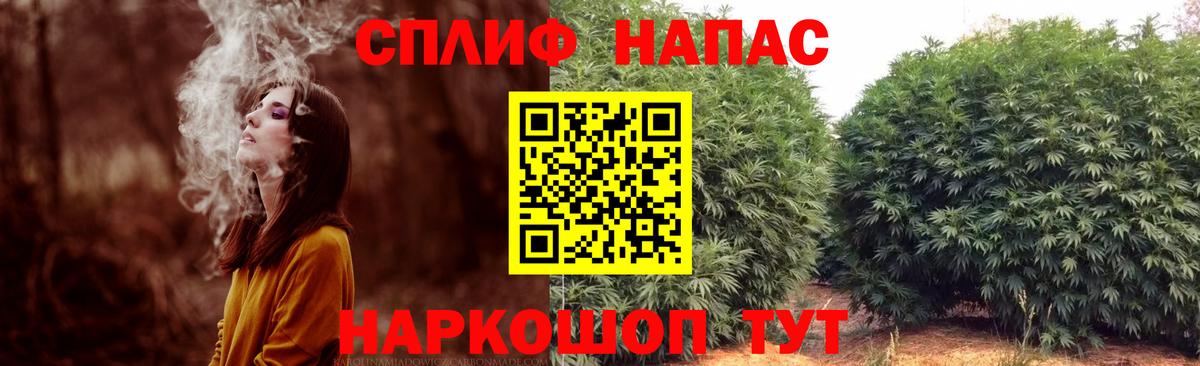 Конопля конопля Камышин